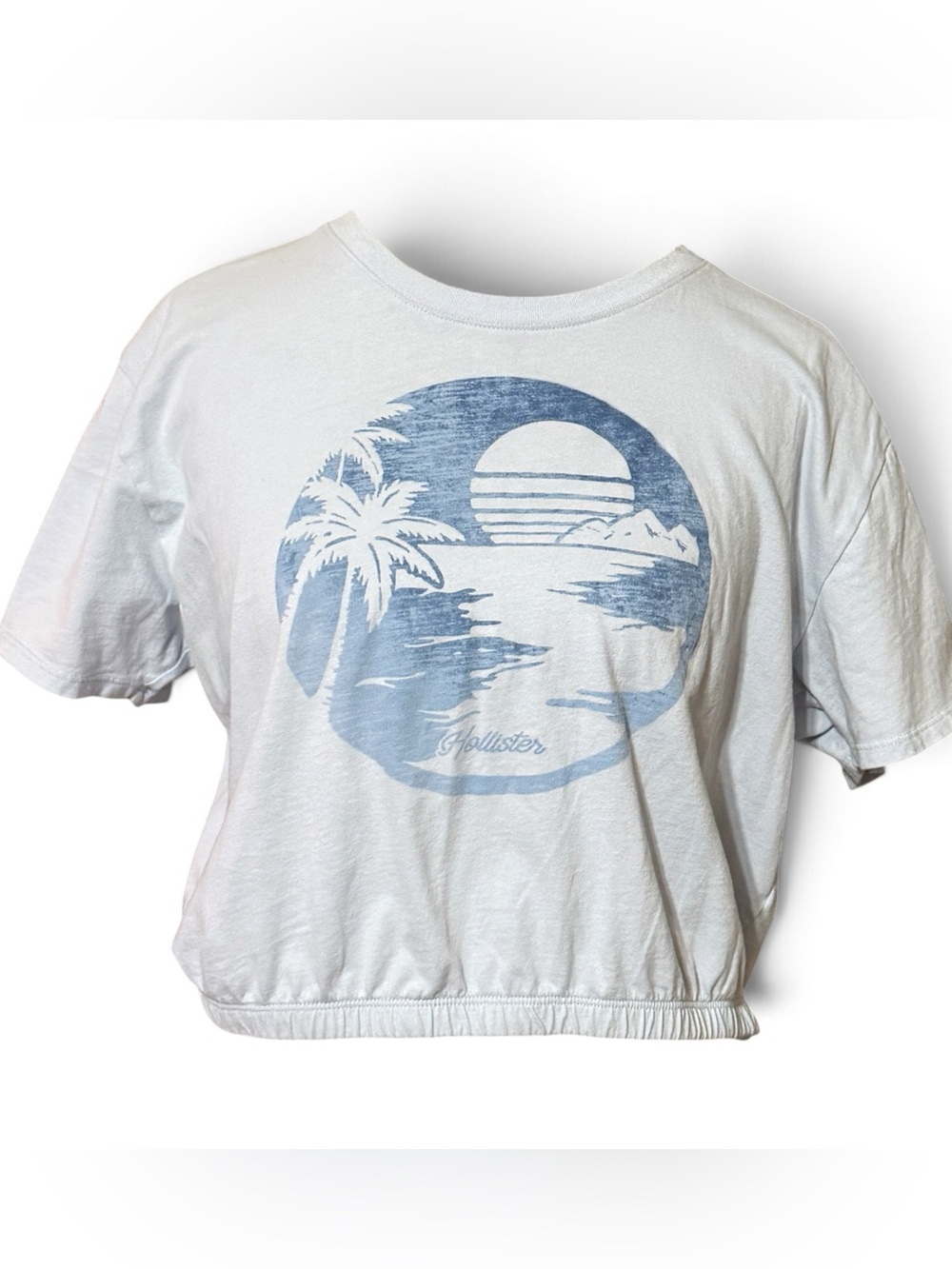 Hollister Cropped Graphic Tshirt featuring Circular Palm Tree and Sunset Blue L